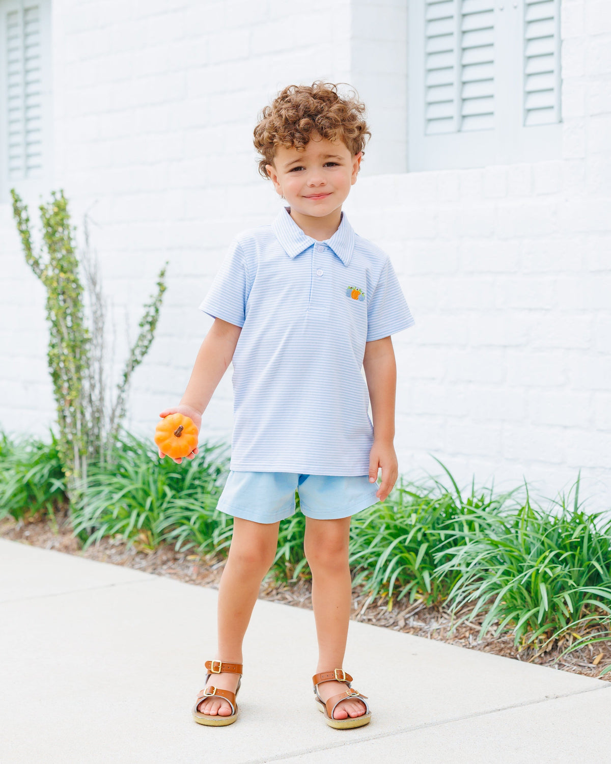 Harvest Trio Polo