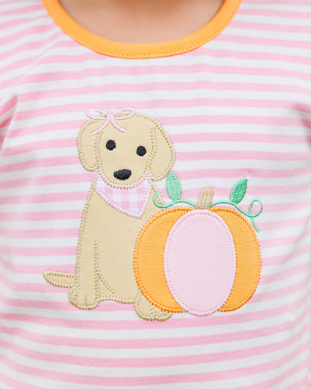 Pumpkin and Paws Bloomer Set